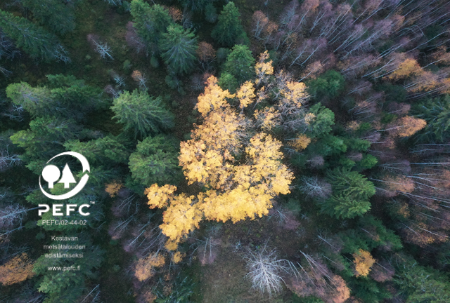 PEFC-metsäsertifiointi maksutta