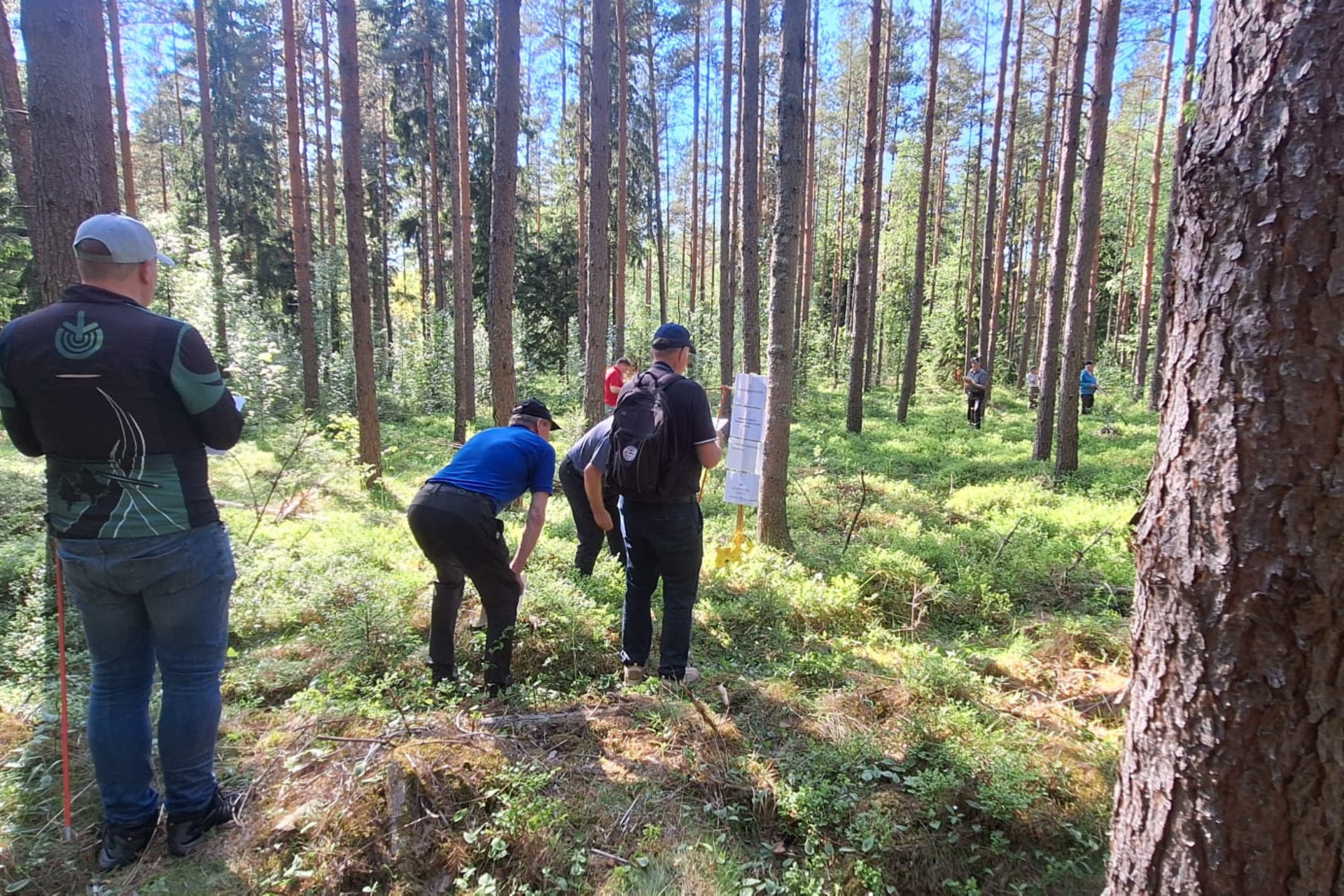 Metsänomistajat metsätaitokilpailu Laitilassa 2026